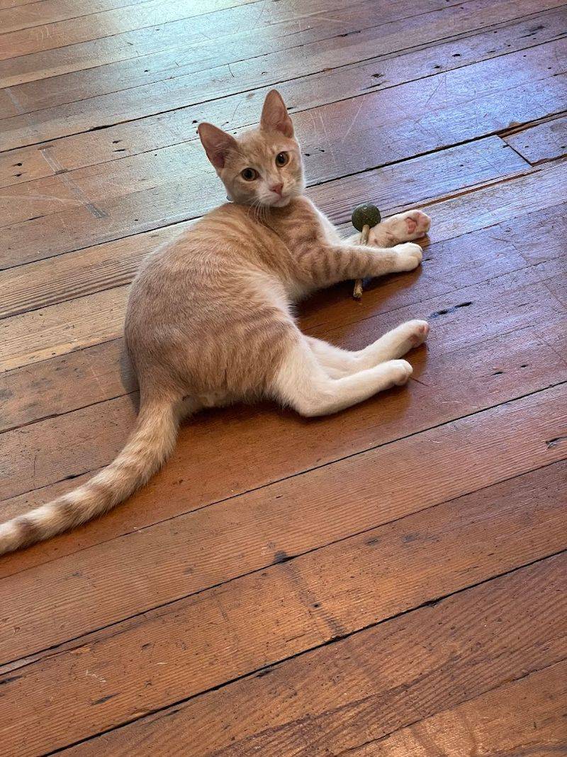 Behind the Scenes: Mission and Community Role