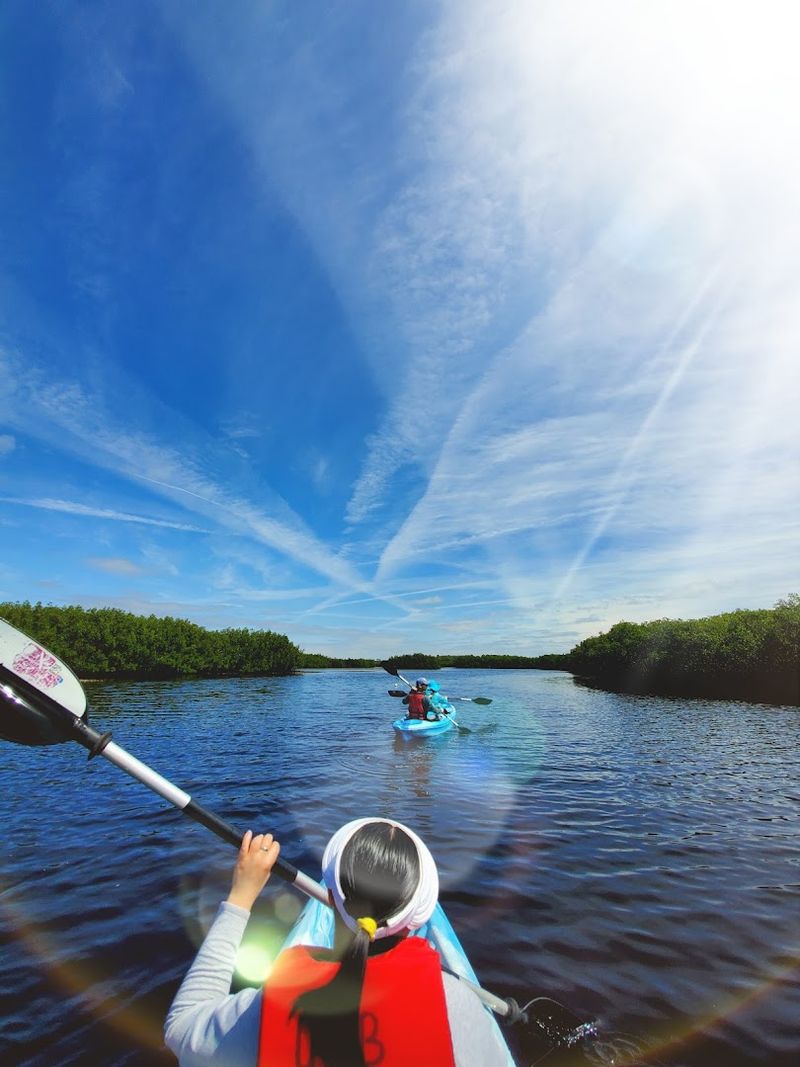 Upper Tampa Bay Water Trail - Tampa Bay, FL