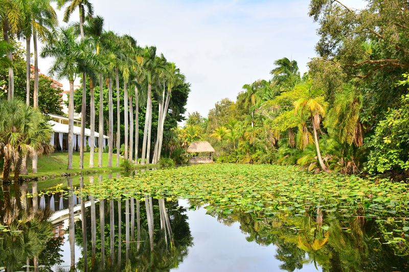 Bonnet House Museum & Gardens