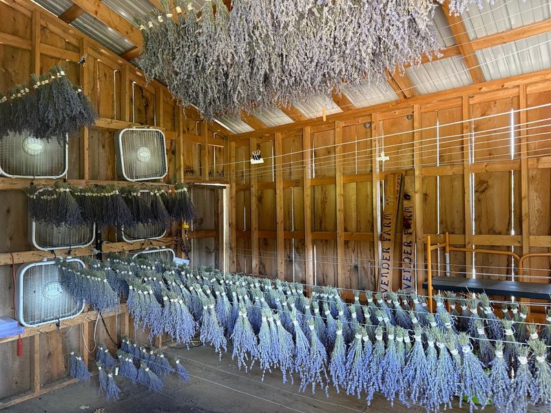 Hands-On Lavender Wand Making Workshops