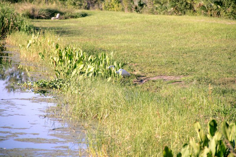 Lake Woodruff National Wildlife Refuge