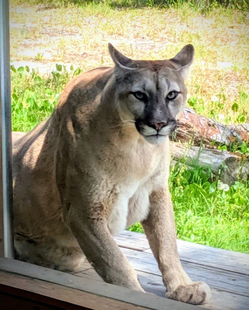 Oatland Island Wildlife Center (Savannah)