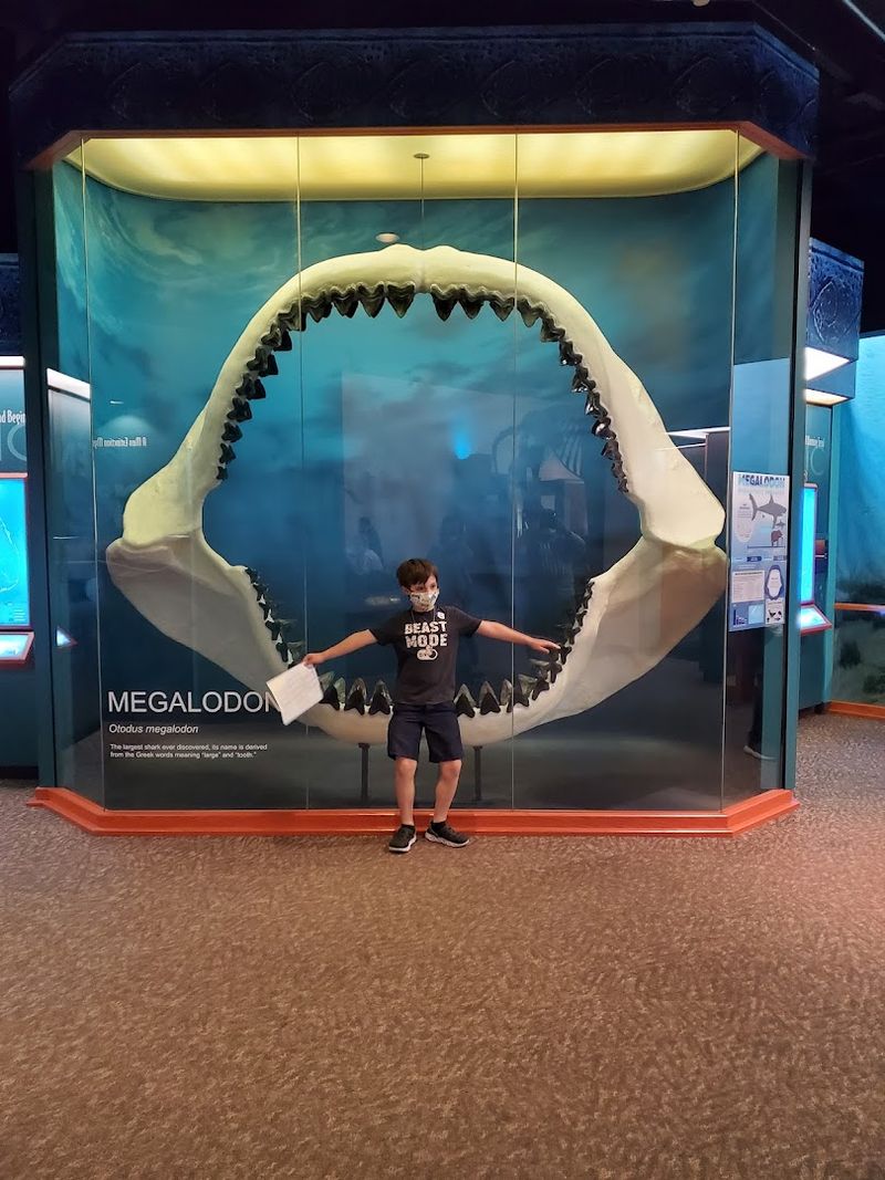 The Bishop Museum of Science and Nature