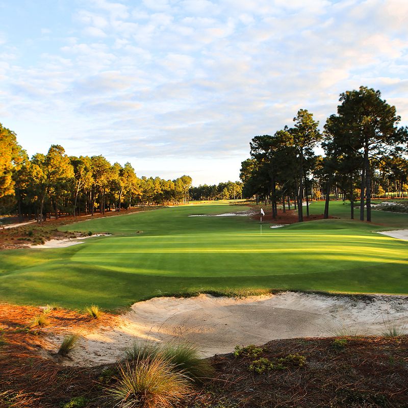 Course No. 2 And The Beautiful Problem Of Its Greens