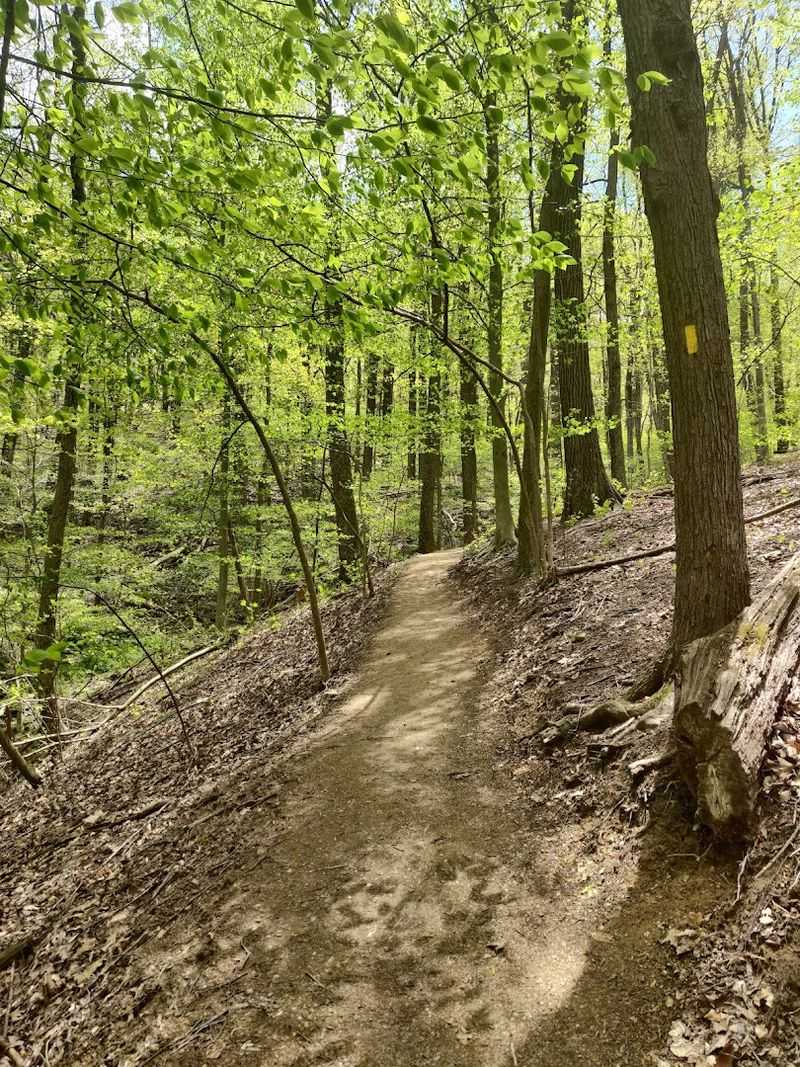 Timing Your Daylight and Pace