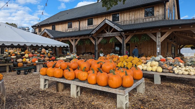 Langwater Farm
