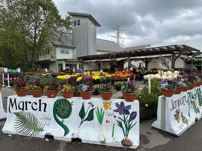 Ward’s Berry Farm