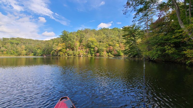Wayne National Forest: Ohio's Only National Forest Turns Green Across Its Trails