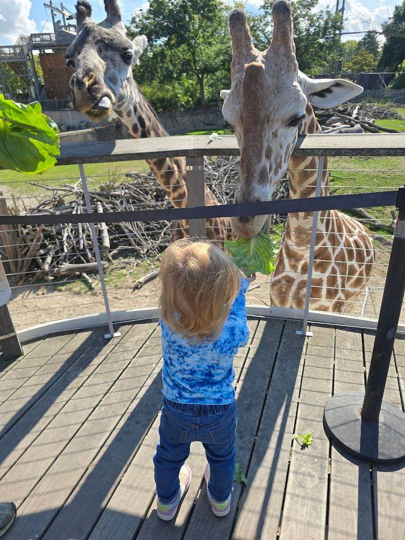 Toledo Zoo - Spring Egg Hunt Events