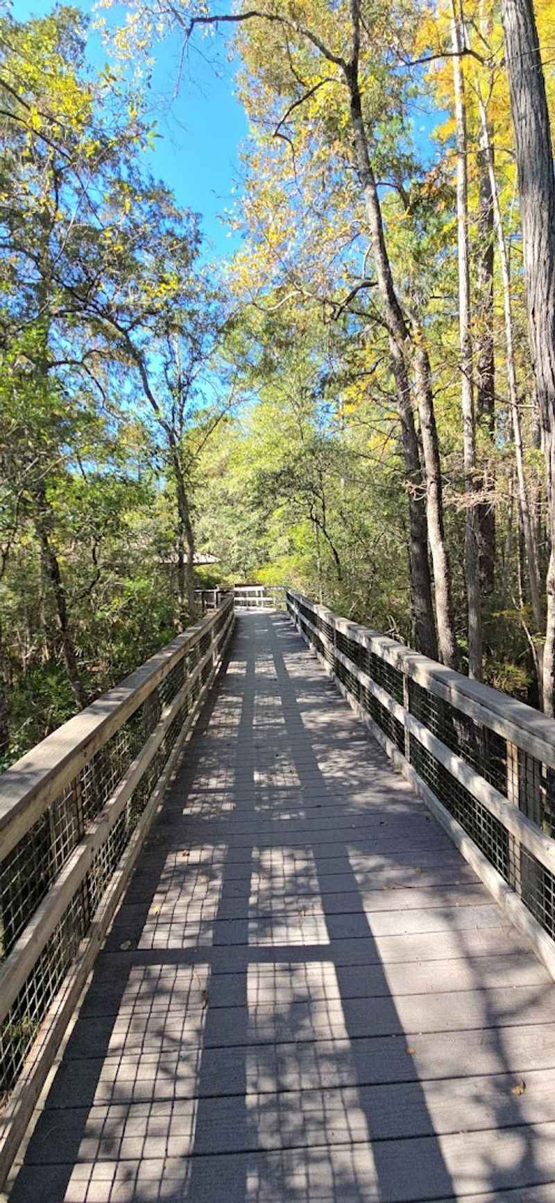 Florida National Scenic Trail Blackwater Section