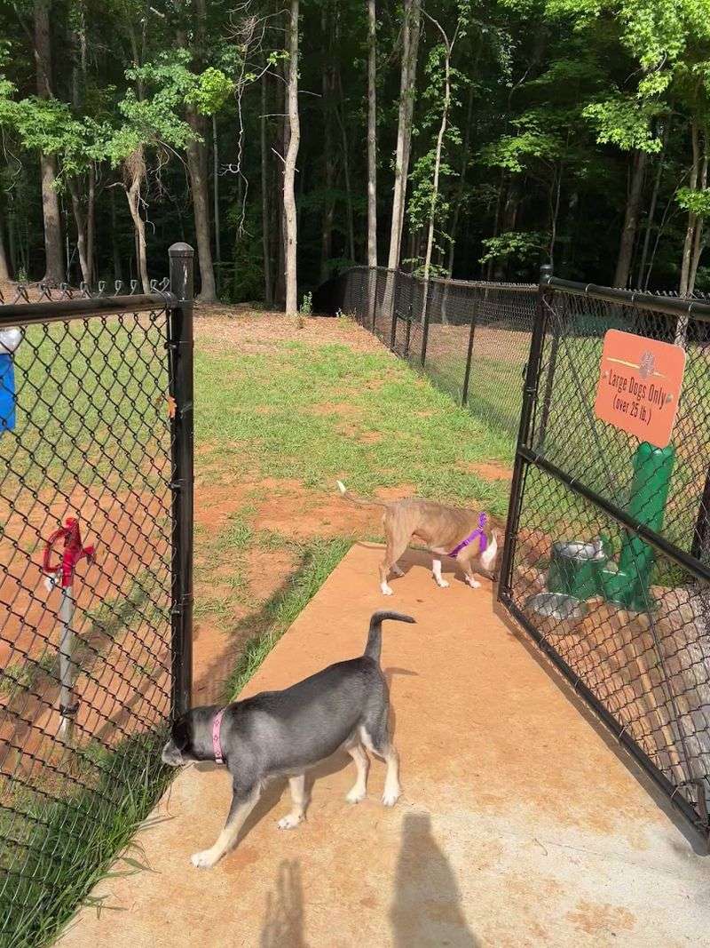 Summerfield Paw Park - Summerfield, NC