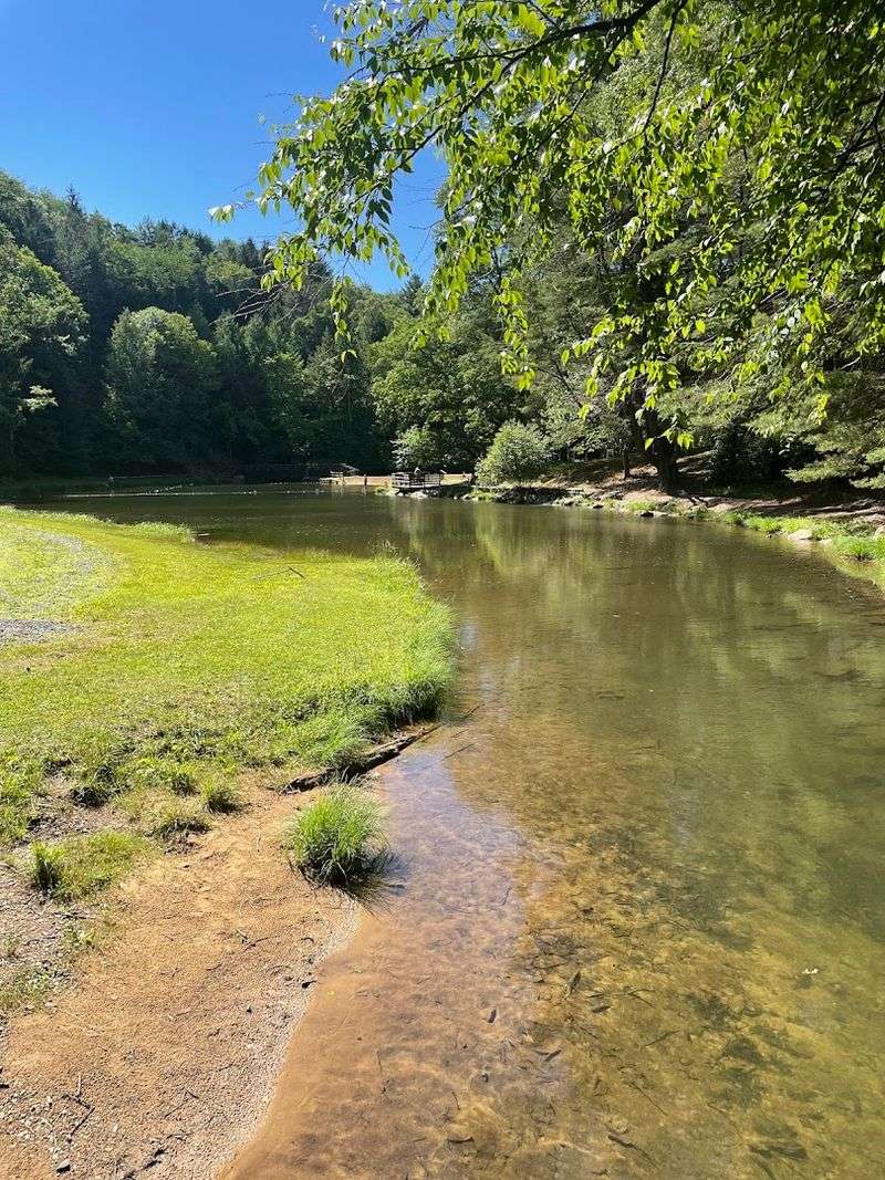 Phyllis Run Loop Trail