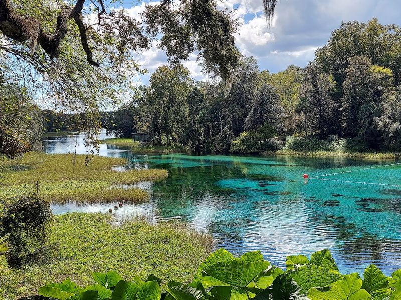 One of Florida's Largest Natural Springs