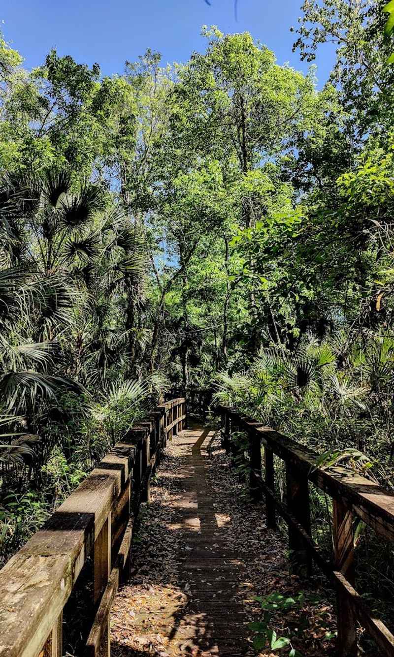 Ocala National Forest