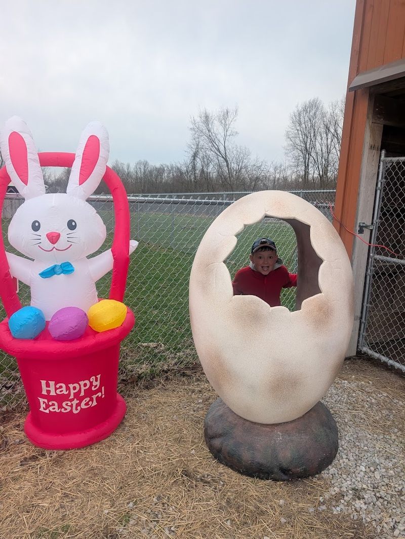 Majestic Meadows Alpacas - Easter Egg Hunt