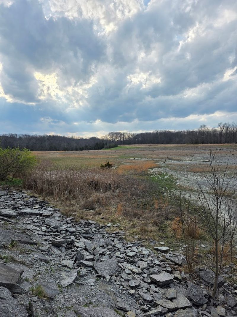 Caesar Creek State Park — Fossil Hunting on a Trail That Doubles as a Streambed