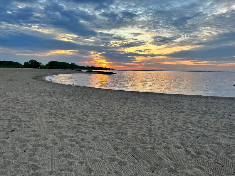 Toledo and Maumee Bay: Shorebird Migration Along Lake Erie's Western Edge