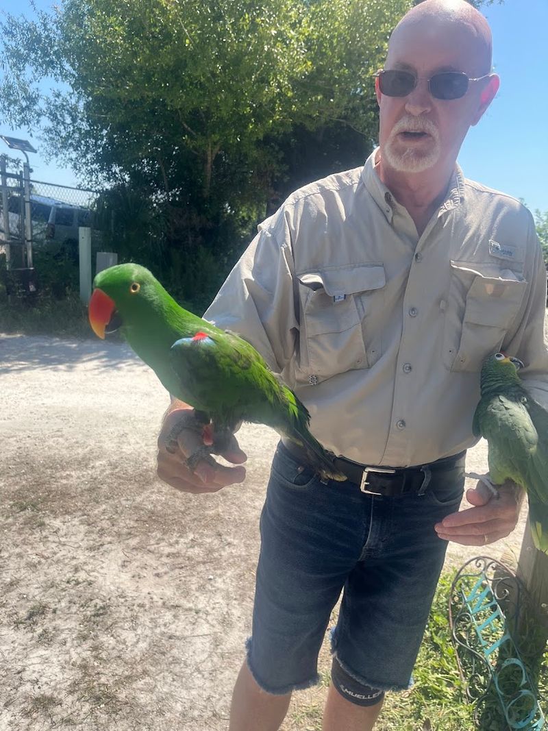 Educational Tours Focused on Bird Welfare and Conservation