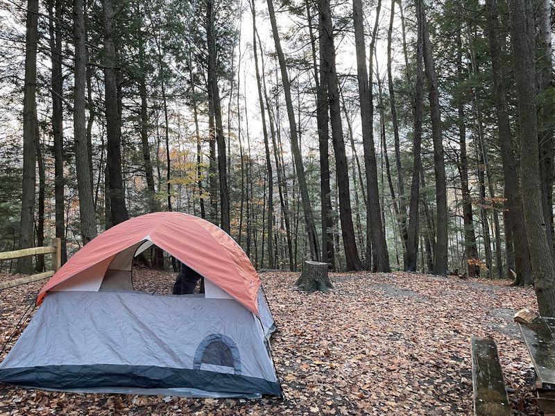 Melville, Thoreau, and the Mountain's Cultural History