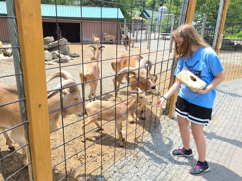 Living Treasures Animal Park (Jones Mills, PA)
