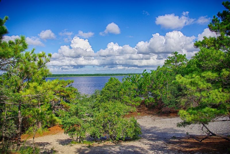Peaceful Views Along the Cape Fear River