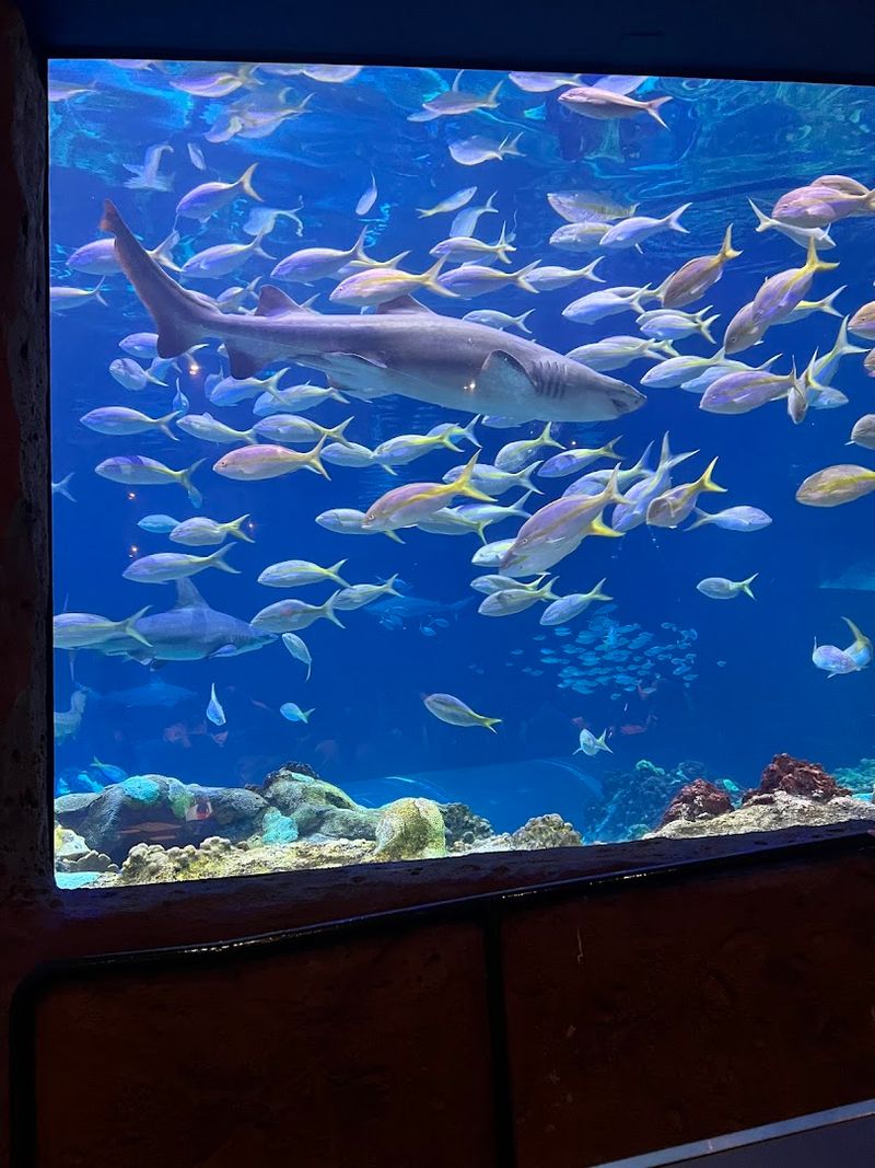 Family Friendly Strategies