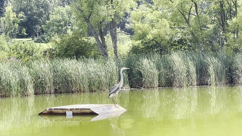Marsh Creek State Park (Chester County)