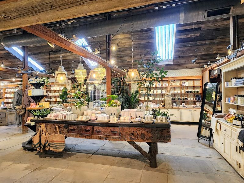 A Multi-Sensory Experience Beyond Dining