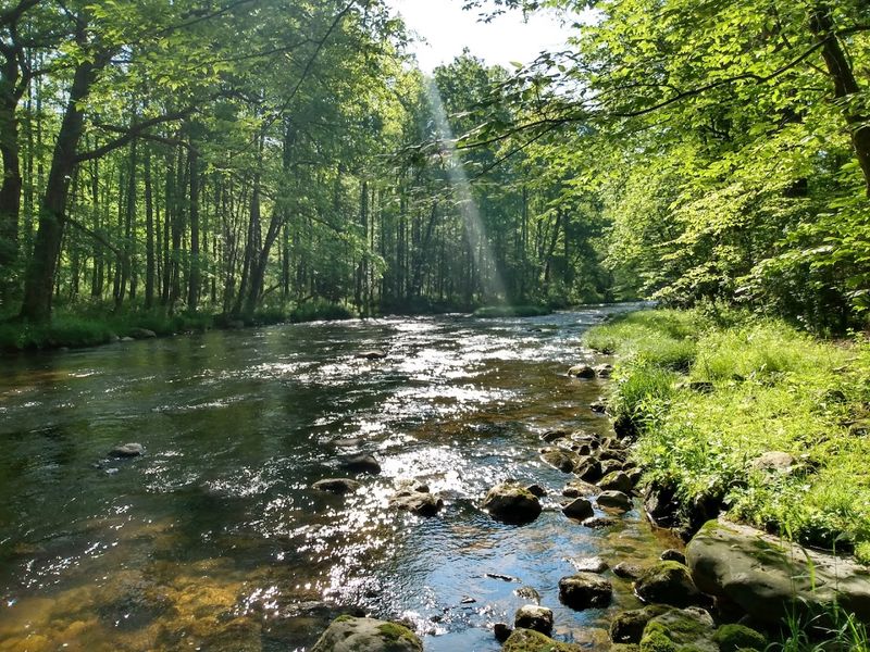 Jacobsburg Environmental Education Center &ndash; Bushkill Creek Trails