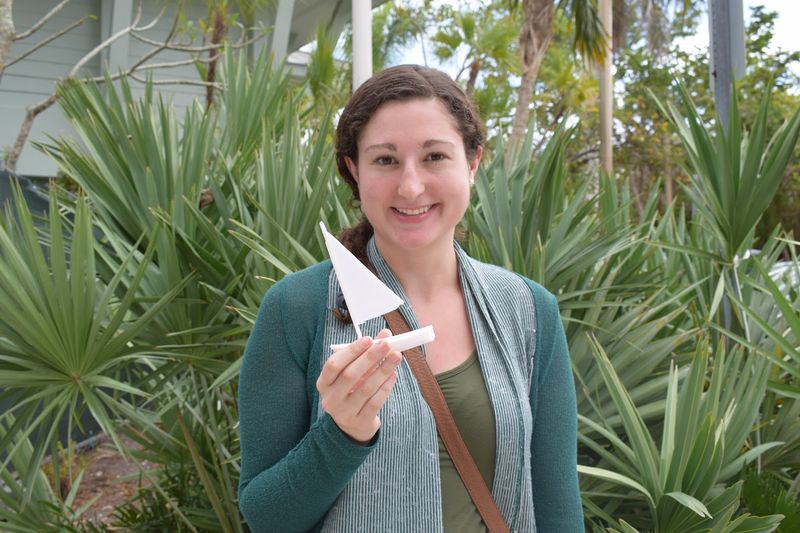 Visitor Info: What You Need to Know Before You Go