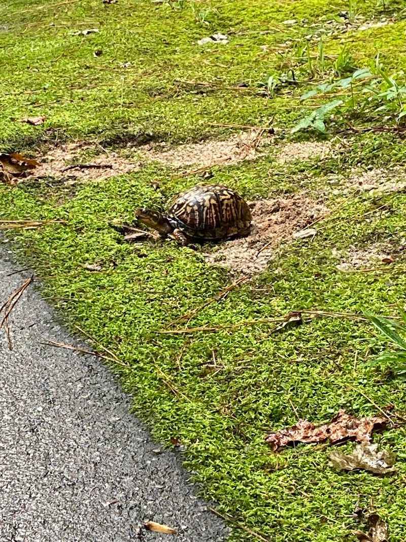 Engaging Nature Center Exhibits