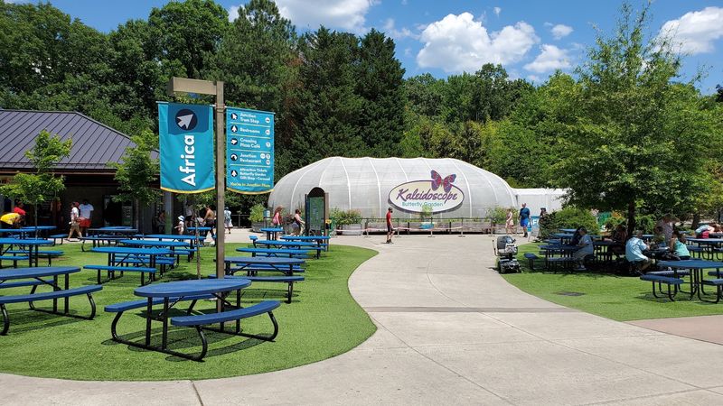 Smart Route Planning