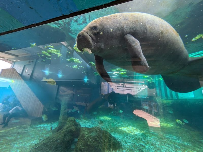 Visitor Experience and Planning Tips