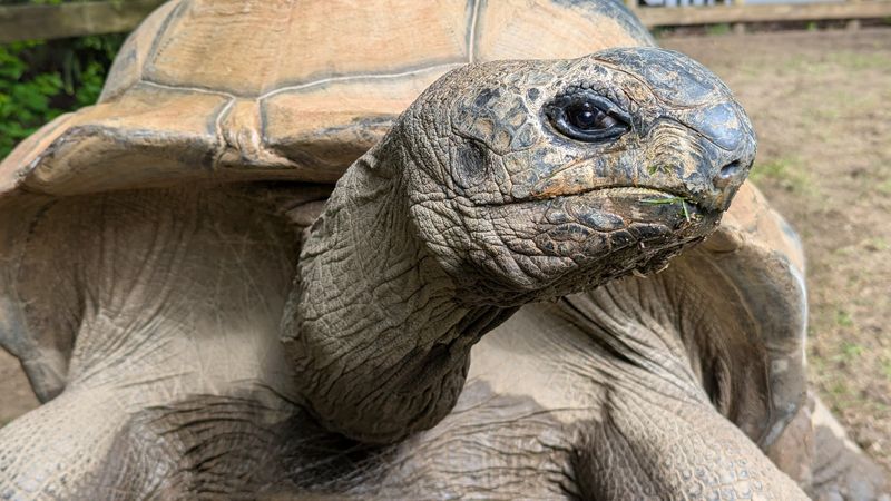 Visitor Info and Tips for Heart of Africa