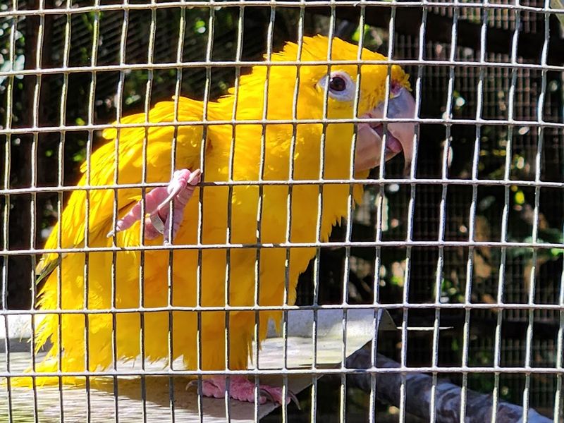 Other Attractions On-Site