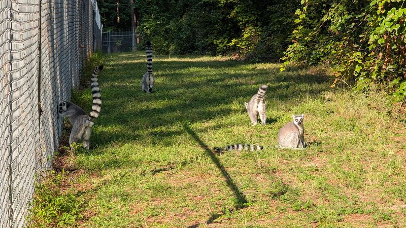 The Self-Guided Tour Option