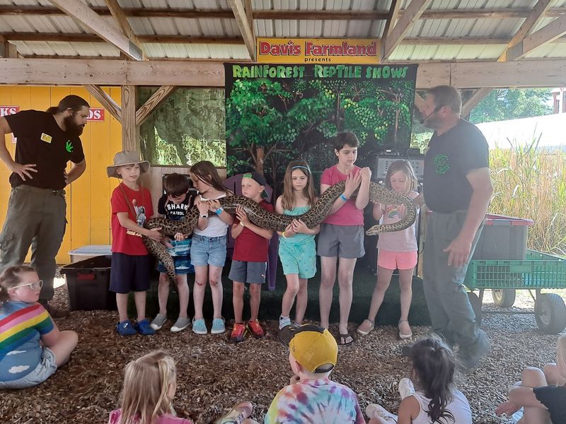 Educational Reptile Shows And Encounters