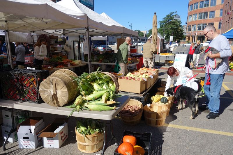 SoWa Open Market