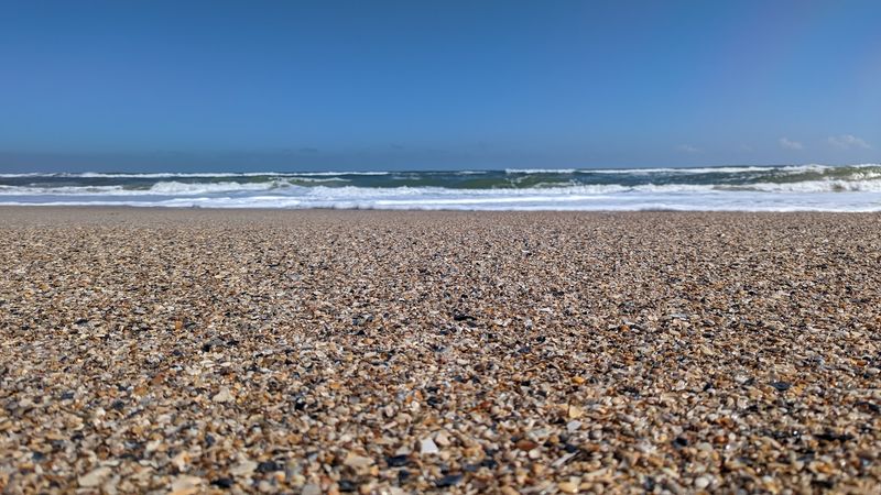 Little Talbot Island State Park