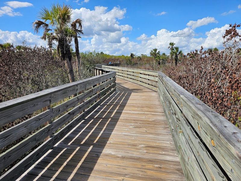Big Cypress Bend Boardwalk &mdash; Ochopee, FL