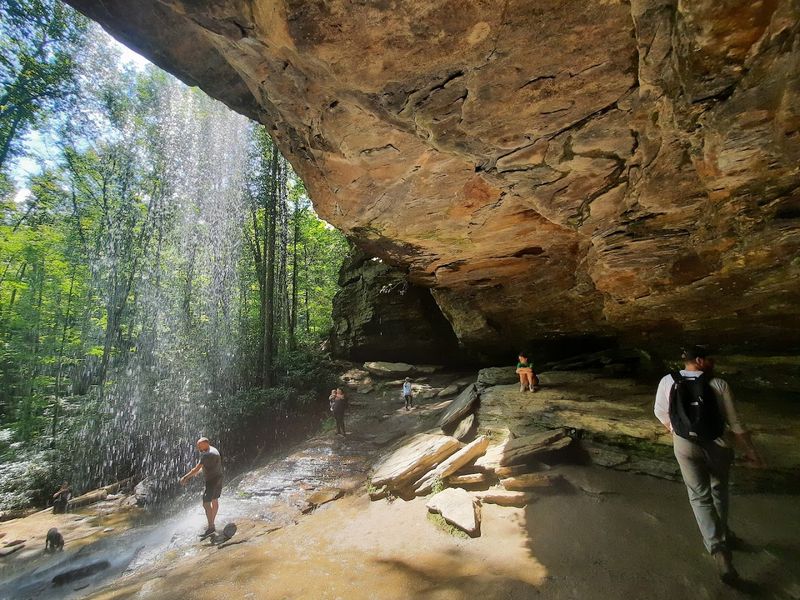 Moore Cove Falls Trail