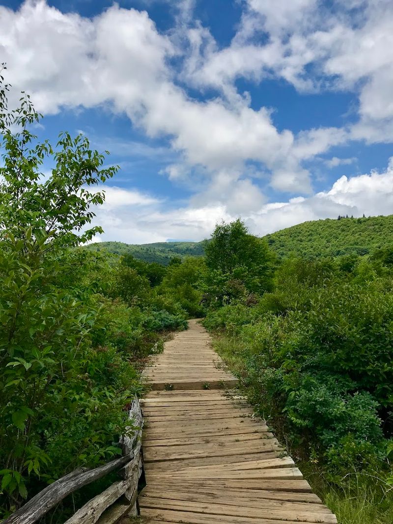 Graveyard Fields Loop (Blue Ridge Parkway)