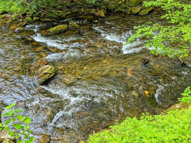 Deep Creek, Great Smoky Mountains (Bryson City)