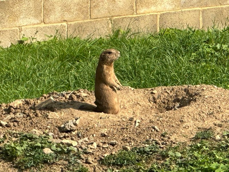 ZooAmerica North American Wildlife Park &ndash; Hershey, PA
