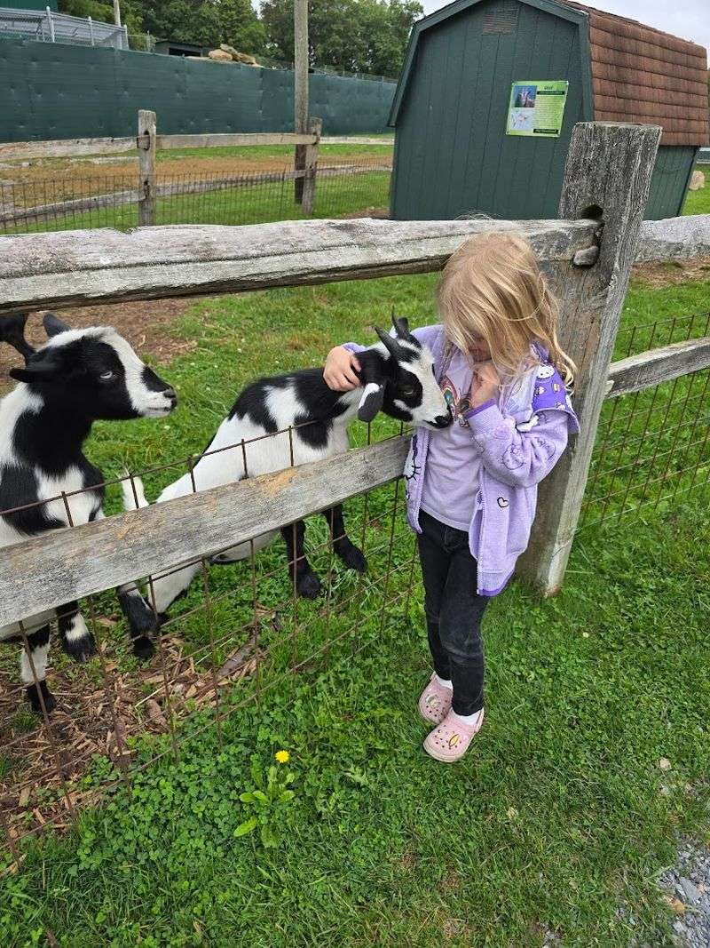 Farmer's Inn Animal Park