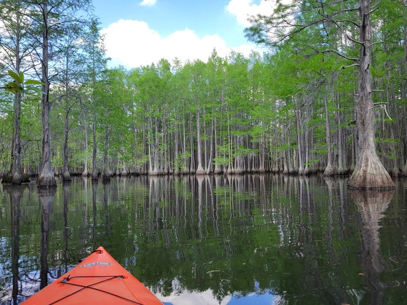 George L. Smith State Park Mill Pond Trail