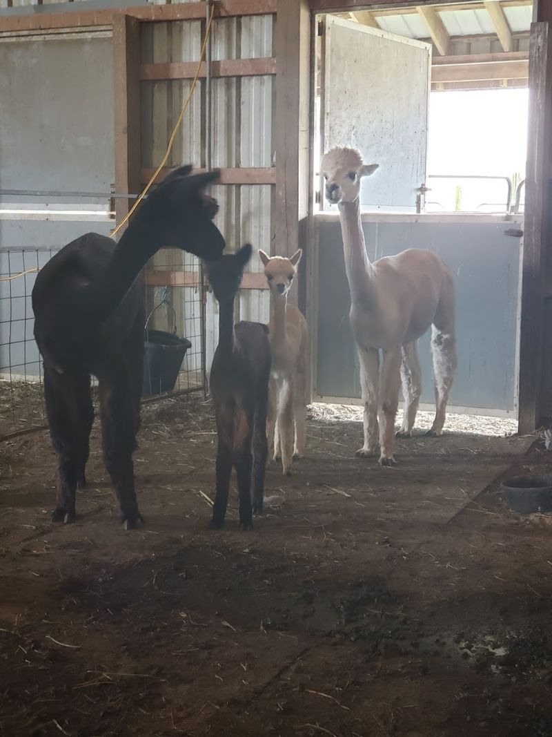 Heatherbrook Farms (Franklin, OH)