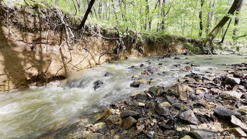 Medoc Mountain State Park