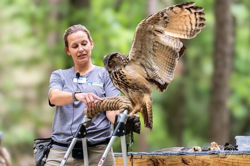 Carolina Raptor Center