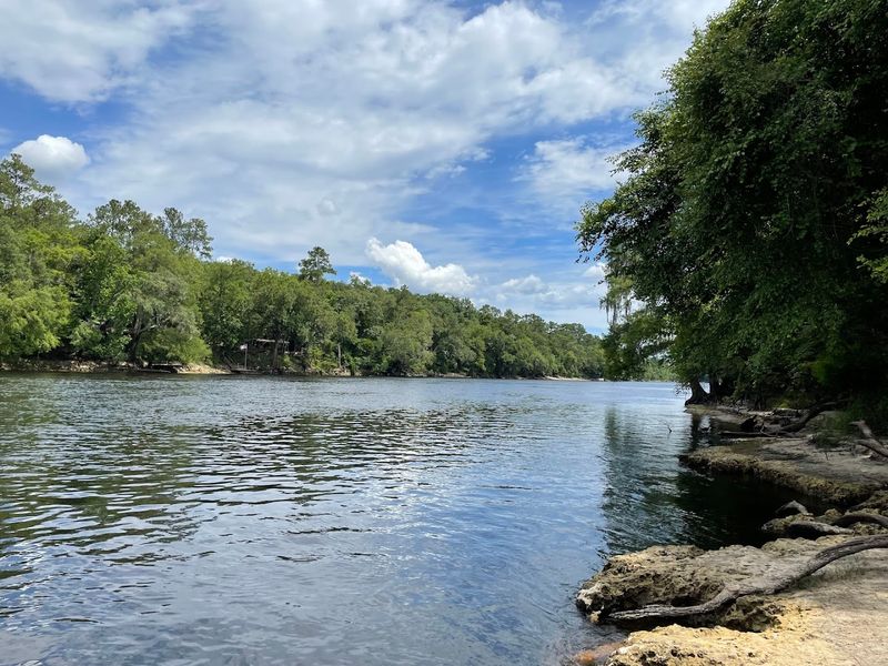 Connection to the Suwannee River Ecosystem